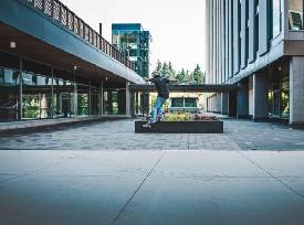 Sobre herbívoros y carnívoros