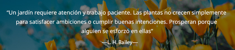“Un jardín requiere atención y trabajo paciente. Las plantas no crecen simplemente 
                para satisfacer ambiciones o cumplir buenas intenciones. Prosperan porque 
                alguien se esforzó en ellas”
