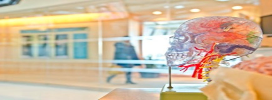 Departamento médico en las agencias de publicidad