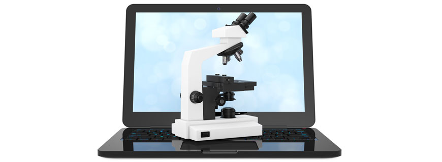 Creatividad y ciencia