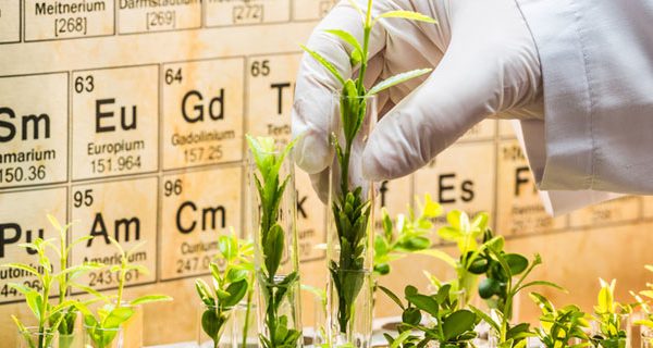 Marketing en el método científico