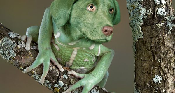 La importancia del copy en los materiales PLV