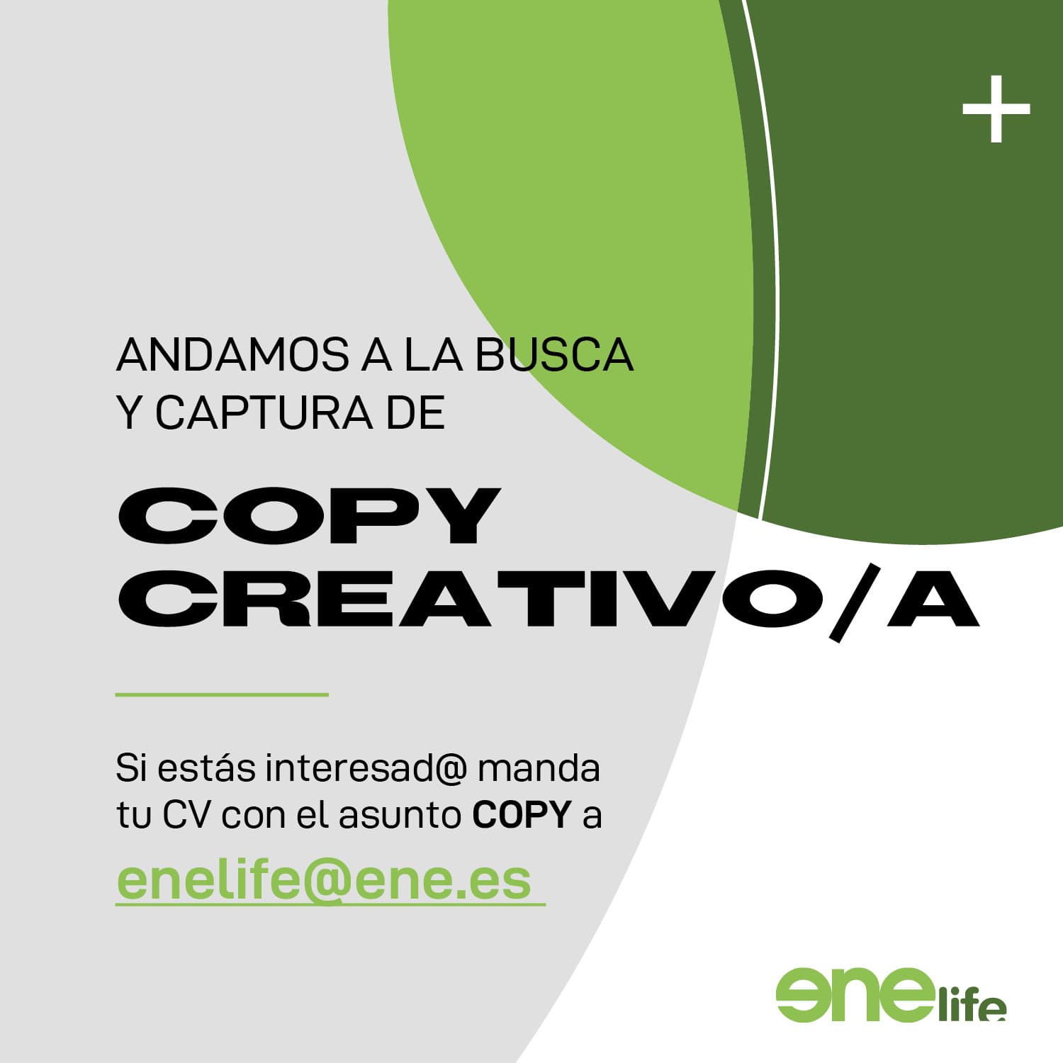Oferta Copy Creativo/a